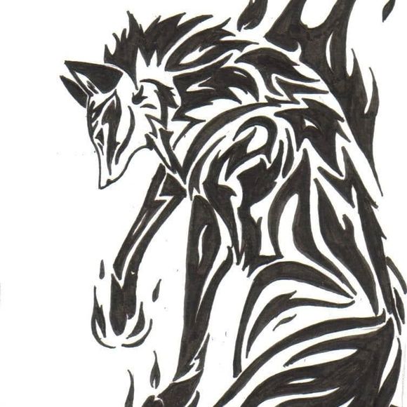 Meet your Posher, Stanley - Picture 1 of 1